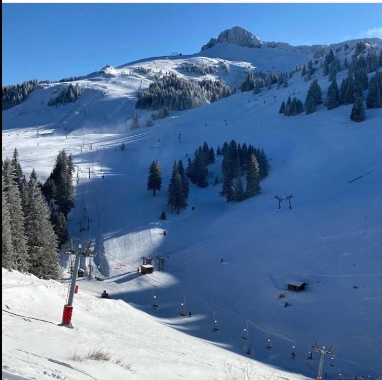 Thollon-les-Memises Igloo Ski In Ski Out מראה חיצוני תמונה
